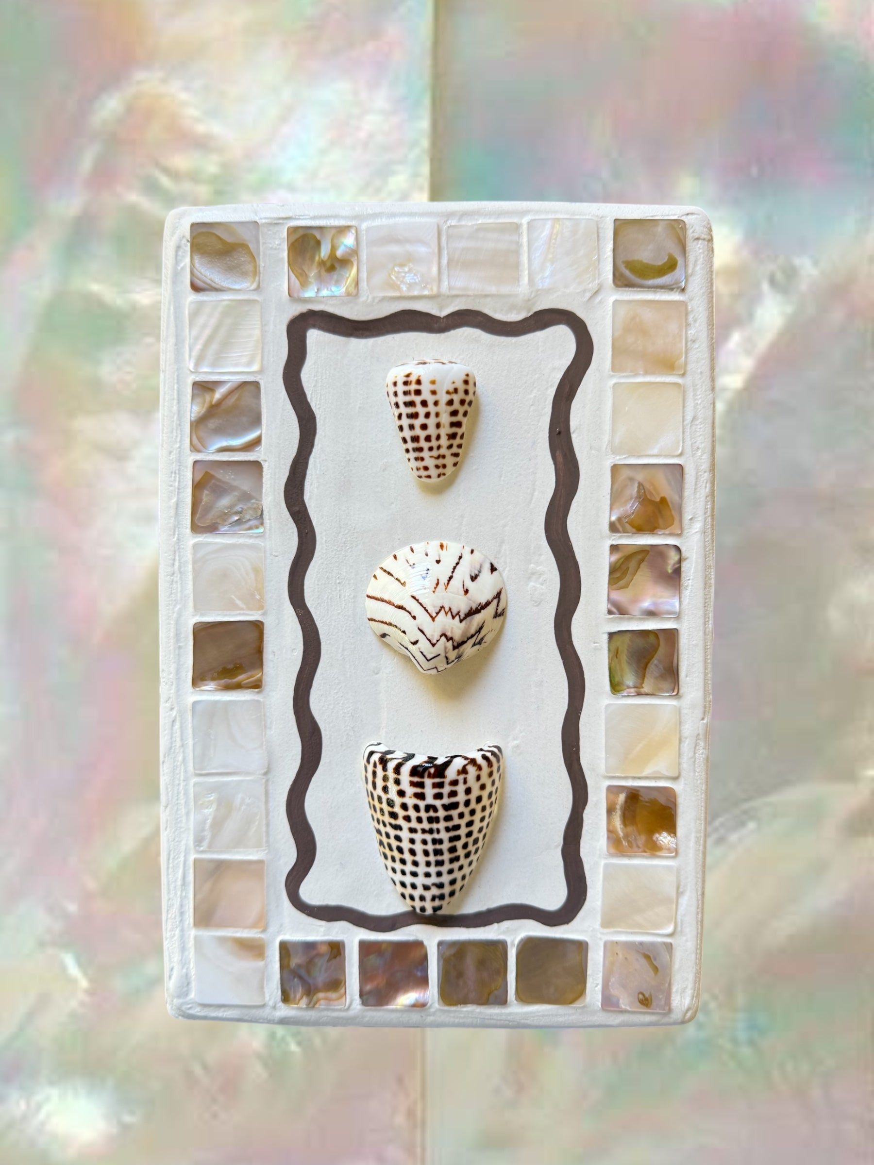 Mother of Pearl Cone shell