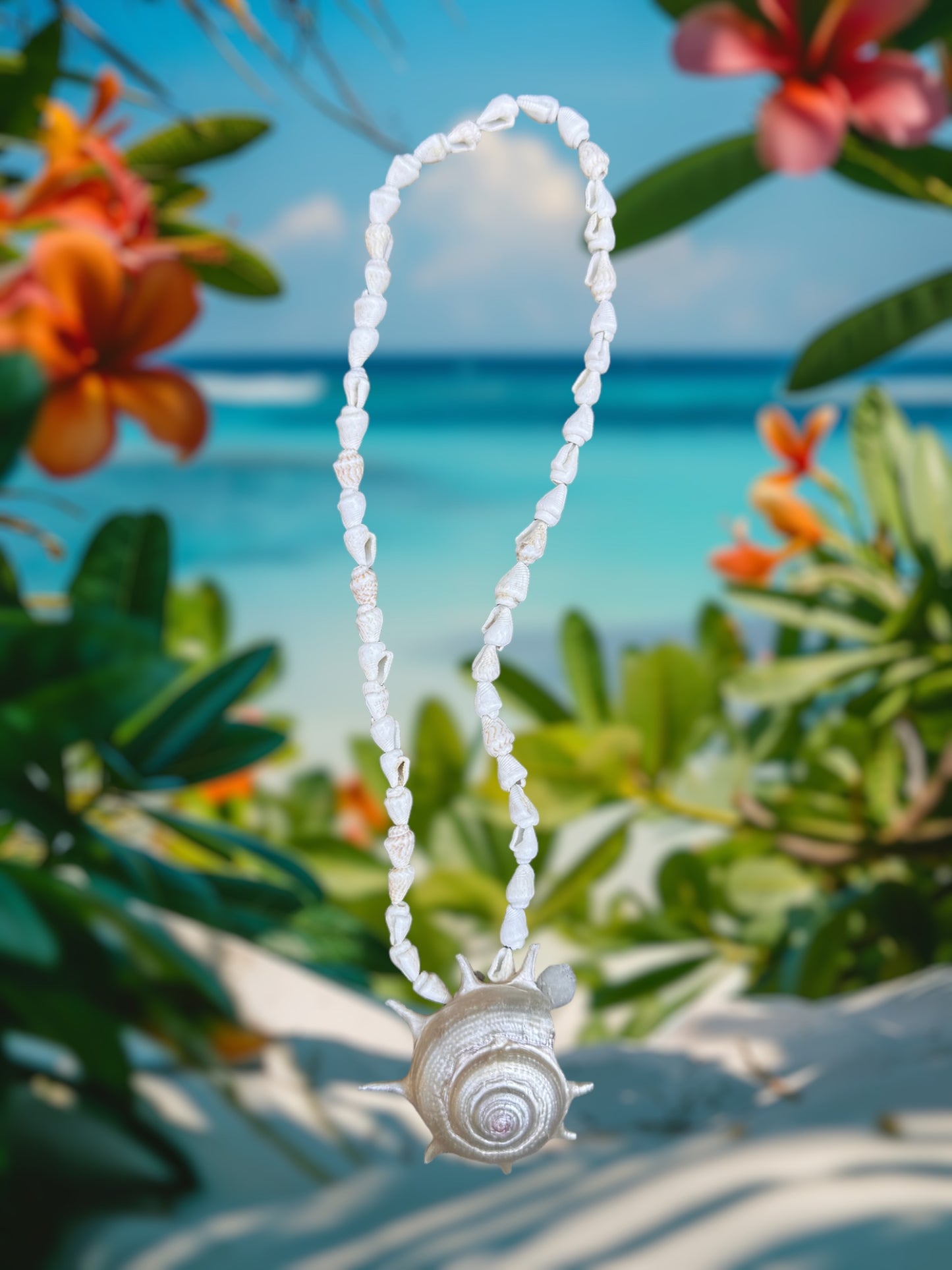 Hanging Seashells - 9