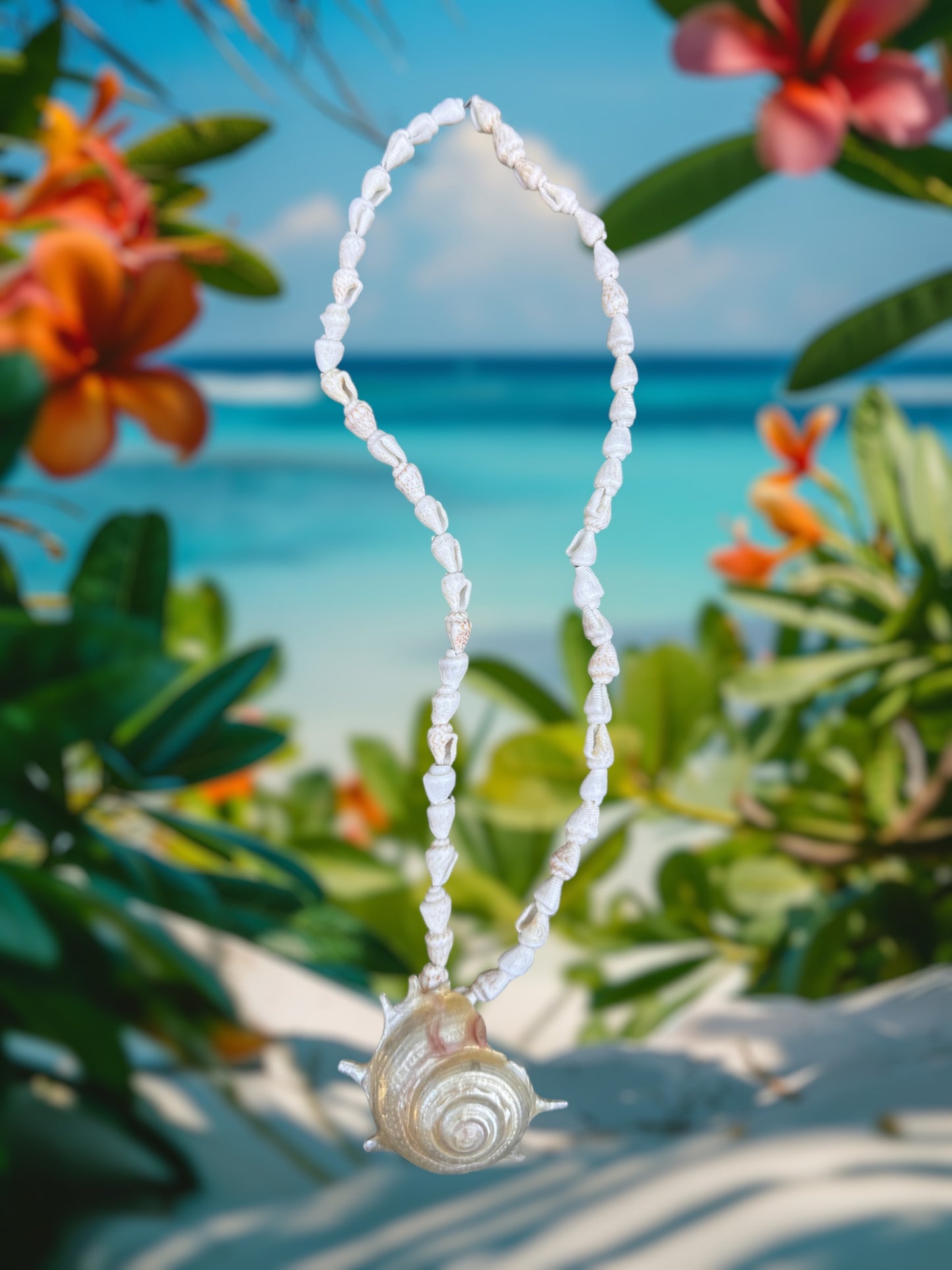 Hanging Seashells - 10