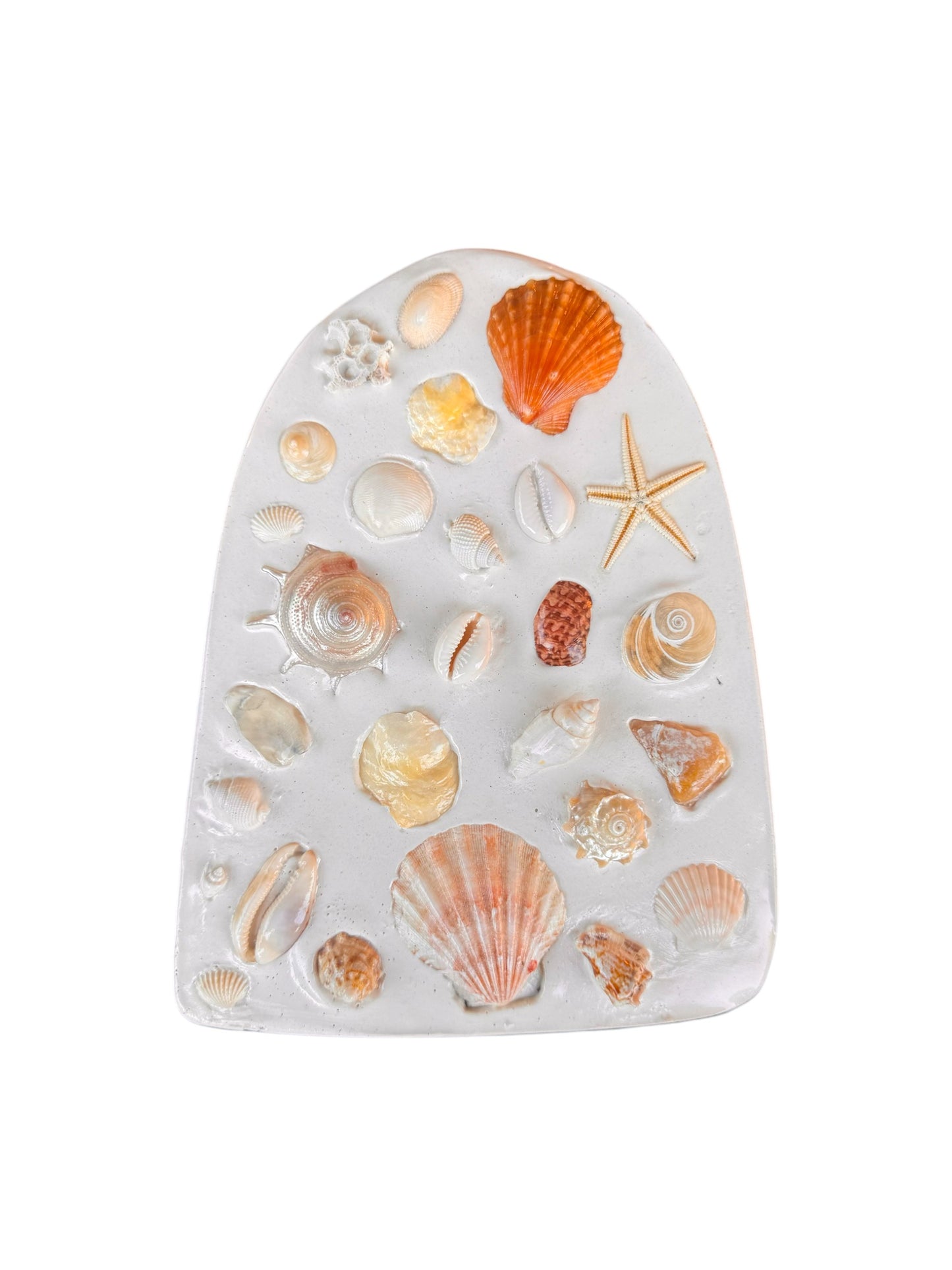 Seashell Arch Tile - 4