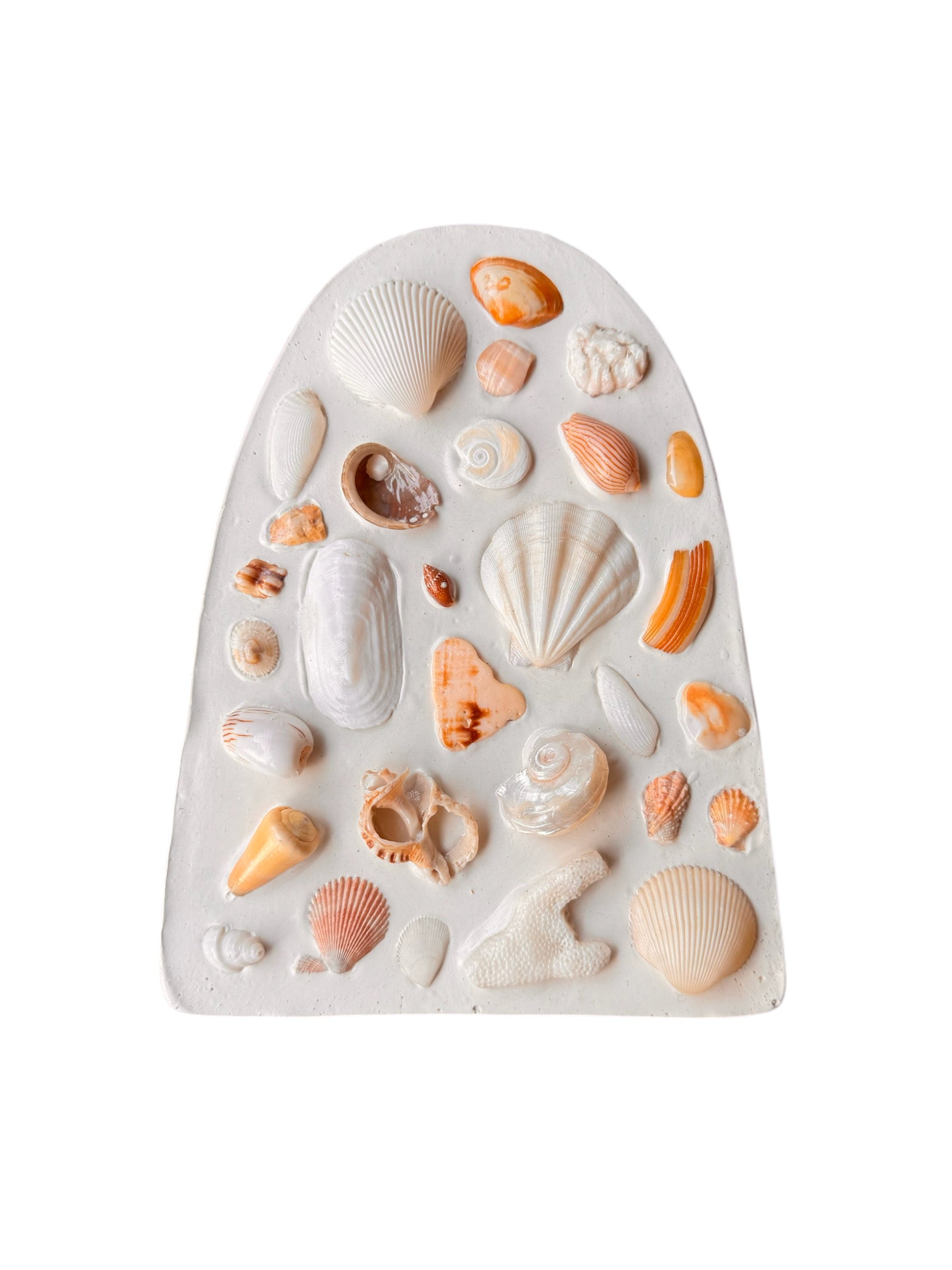 Seashell Arch Tile - 18