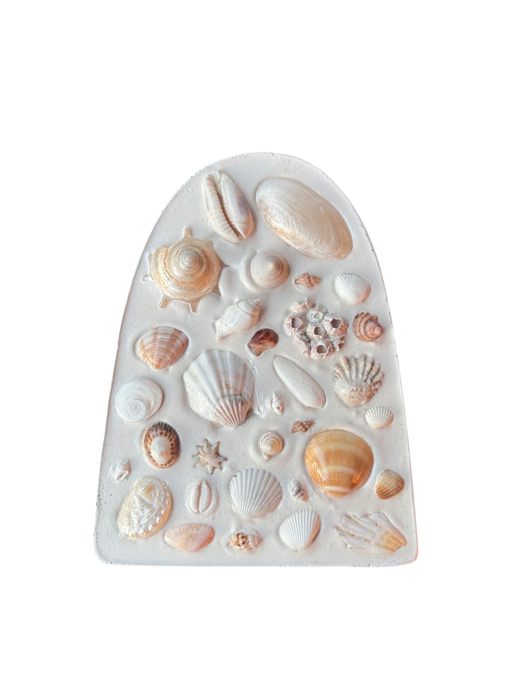 Seashell Arch Tile - 20