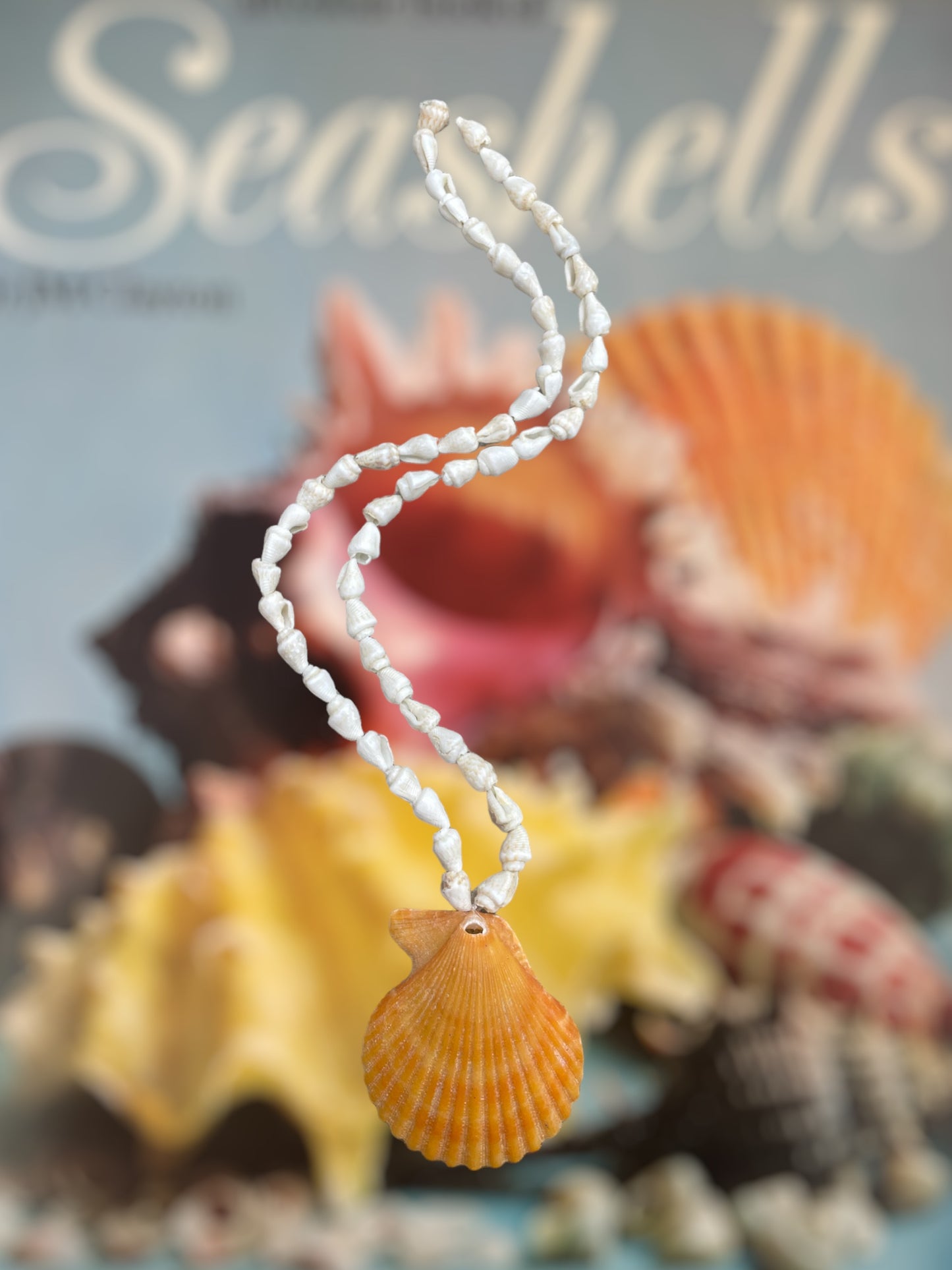 Hanging Seashells - 6