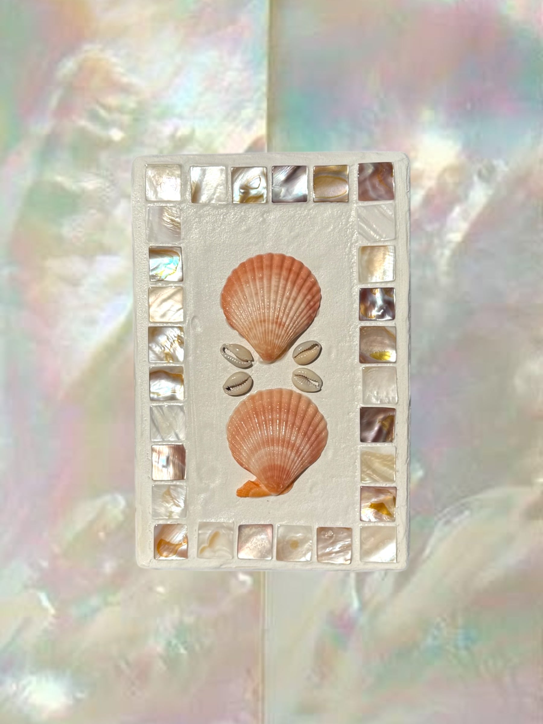 Mother of Pearl Scallop
